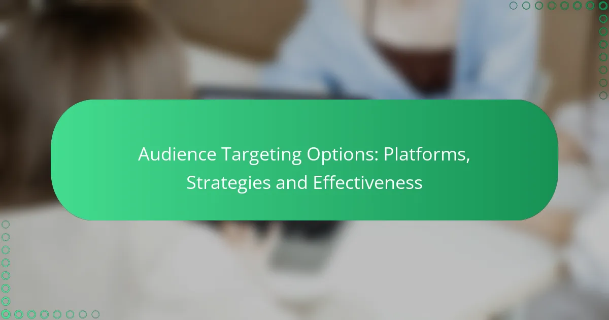 Audience Targeting Options: Platforms, Strategies and Effectiveness