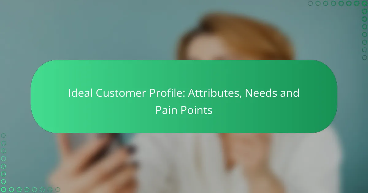 Ideal Customer Profile: Attributes, Needs and Pain Points