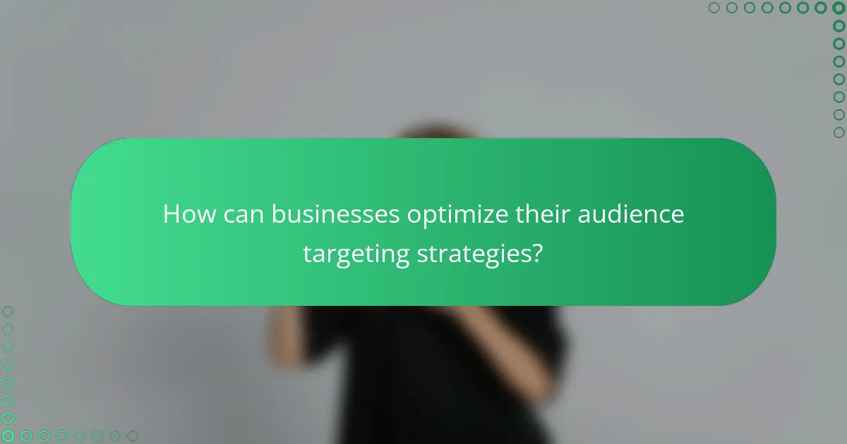 How can businesses optimize their audience targeting strategies?