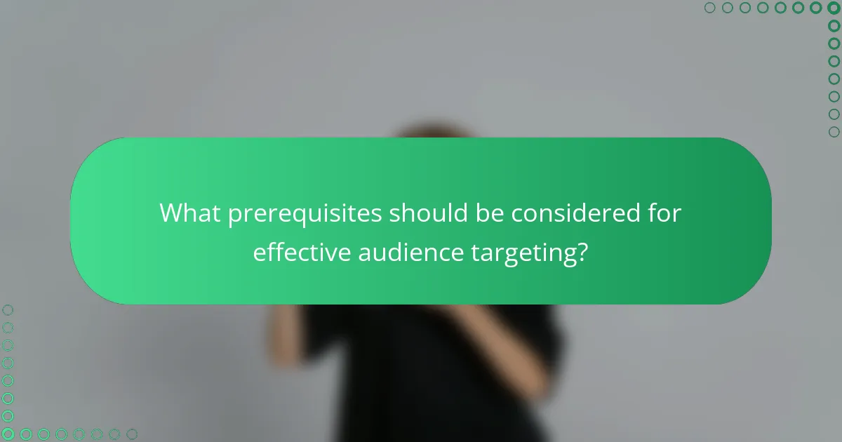 What prerequisites should be considered for effective audience targeting?